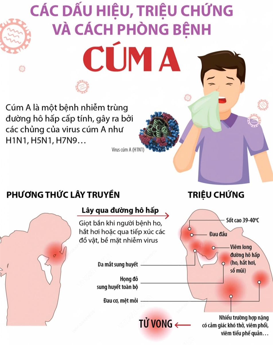 CÁC BIỆN PHÁP PHÒNG NGỪA BỆNH CÚM A HIỆU QUẢ
